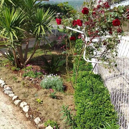 Guesthouse Djurisic 헤르섹 외부 사진