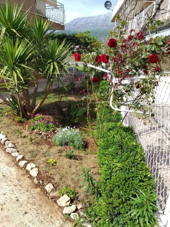 Guesthouse Djurisic 헤르섹 외부 사진