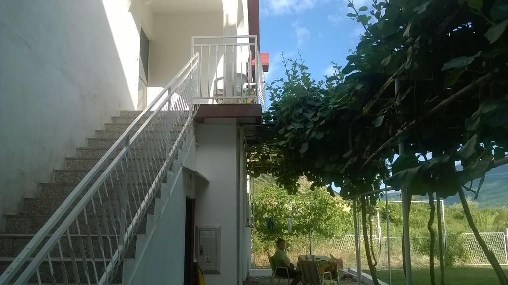 Guesthouse Djurisic 헤르섹 외부 사진